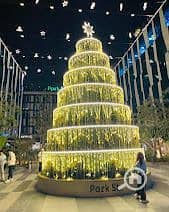 3 WhatsApp Image 2025-12-20 at 12.46. 43 PM (1). jpeg