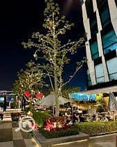 7 WhatsApp Image 2025-12-20 at 12.46. 41 PM (1). jpeg