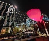 11 WhatsApp Image 2025-12-20 at 12.46. 43 PM (2). jpeg