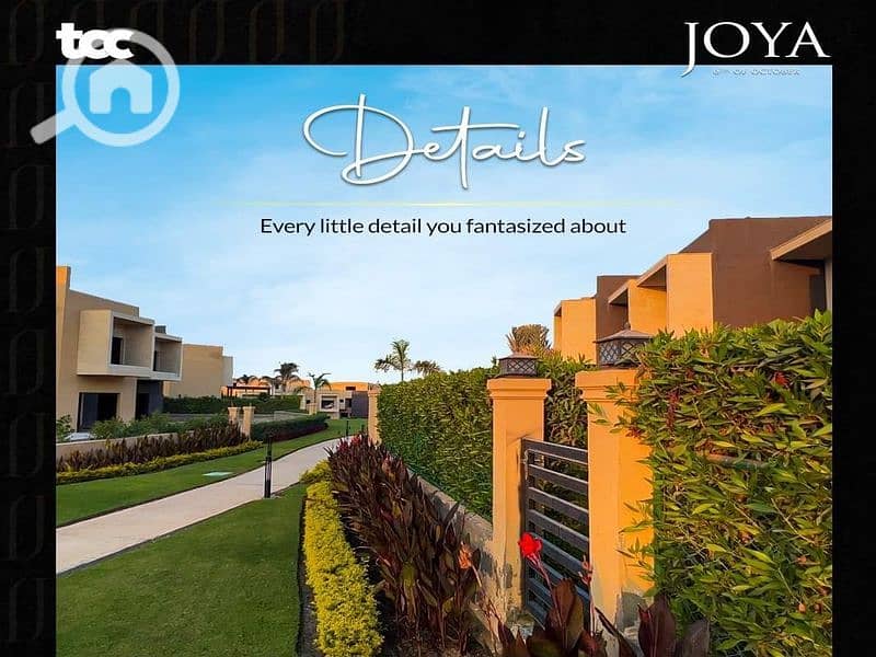 7 WhatsApp Image 2023-11-17 at 21.50. 17_baf05b0b_800x600. jpg