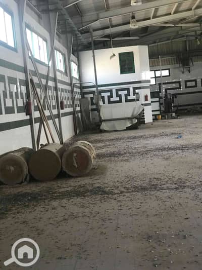 مستودع  للايجار في العامرية، الإسكندرية - IMG_1168. jpg