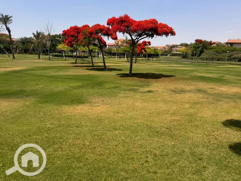 11 8e72c5aa-e5e3-4f87-a207-d42a72f1cc35. jpeg