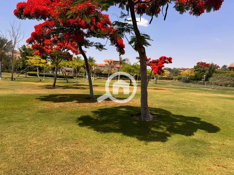 23 b2b80701-c6d8-4105-bd26-91247172ccf2. jpeg