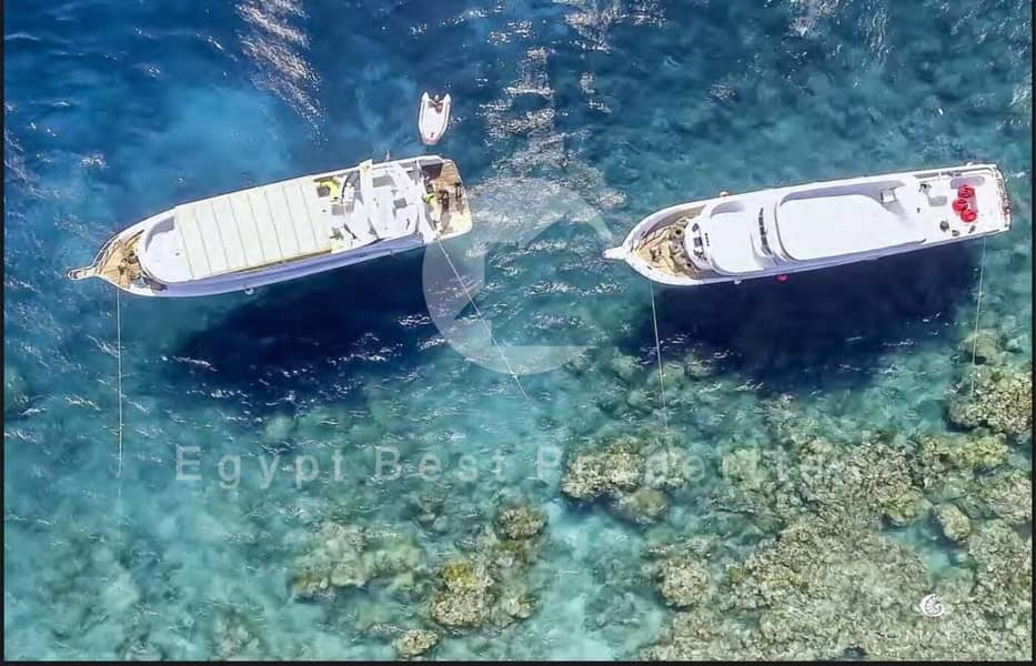 18 WhatsApp Image 2025-03-04 at 12.35. 40 PM (4). jpeg