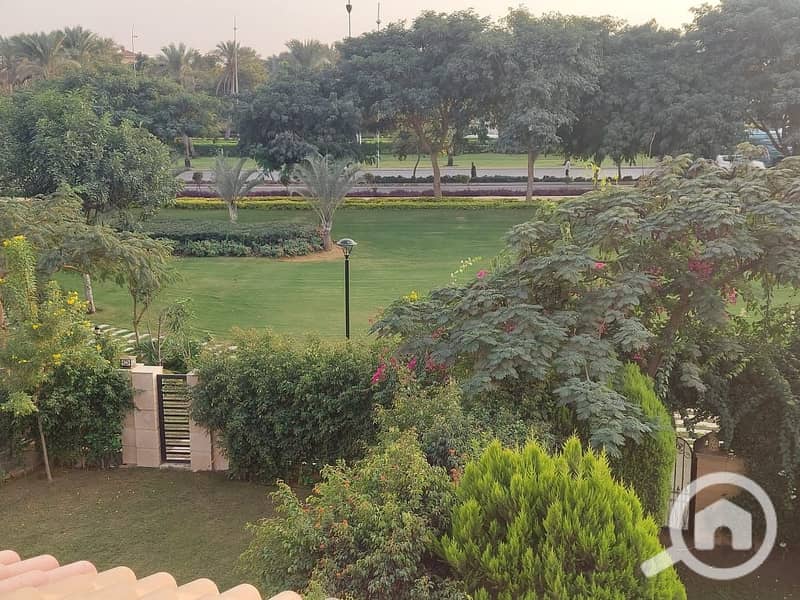 9 d31ca5d0-2f14-47b0-b33f-bf4488479d79. jpg