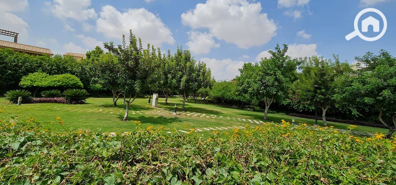 12 b31e2c5f-a93b-4cd0-a822-7fb28b5b0a62. jpg