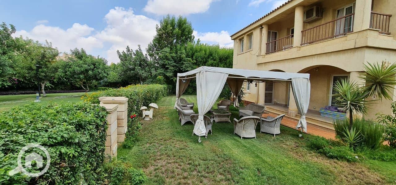 17 d582c00d-df52-4e40-82d1-64dc6272a177. jpg