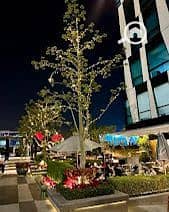 9 WhatsApp Image 2025-12-20 at 12.46. 41 PM (1). jpeg