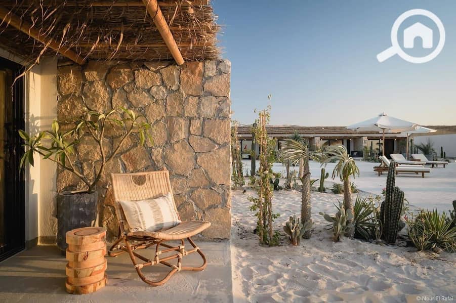 6 WhatsApp Image 2025-12-20 at 2.19. 22 PM. jpeg