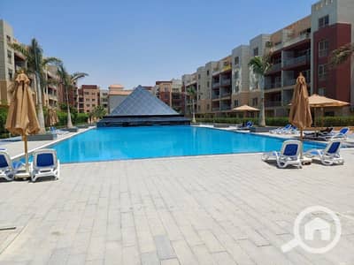 فلیٹ 3 غرف نوم للبيع في القاهرة الجديدة، القاهرة - c087cfb3-e458-45b9-acc2-ed3d745d3b8e. jfif. jpg