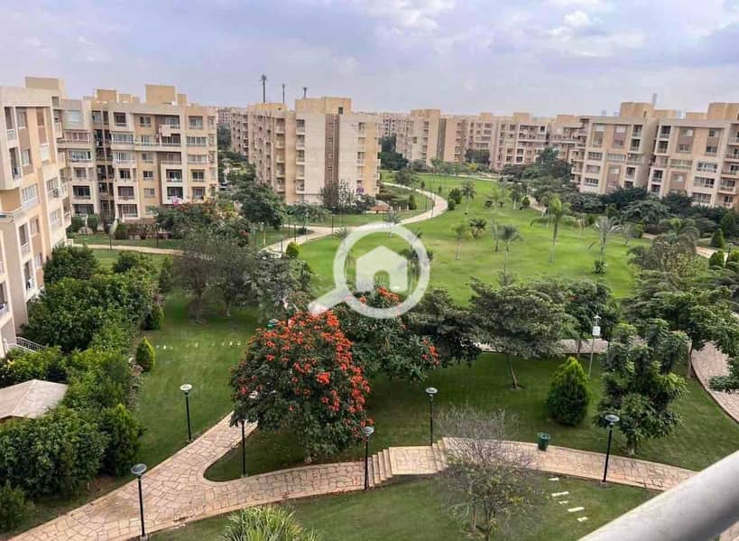 IMG_9145. jpg IMG_9145. jpg