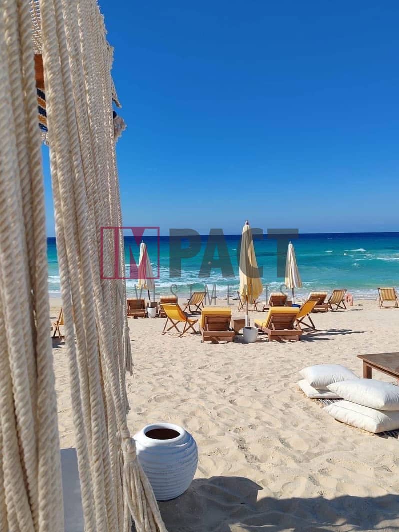 10 db3c304b-3f21-4438-87f2-bb607130bc2a. jpg