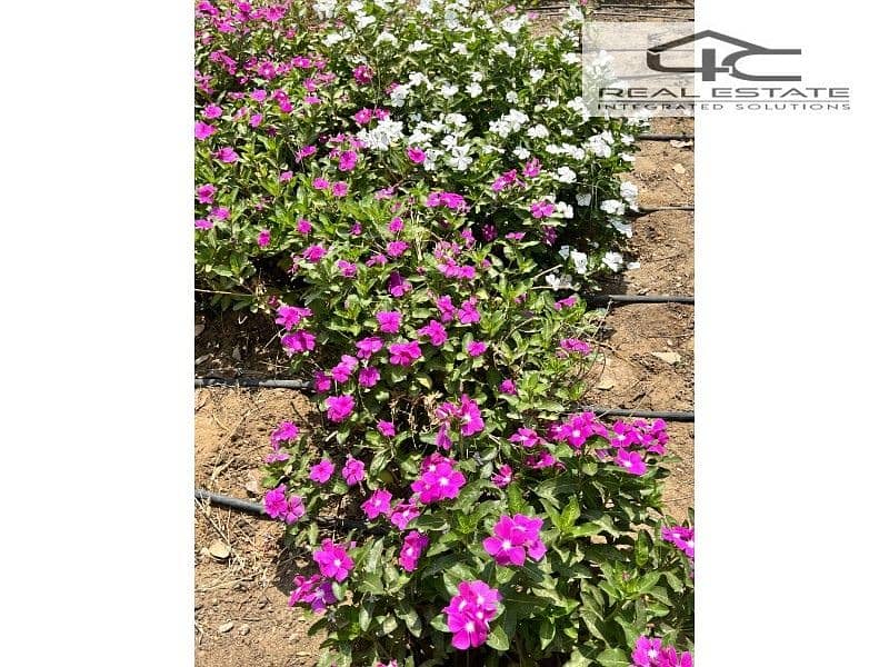 12 2023_06_20_11_29_IMG_9583. jpg