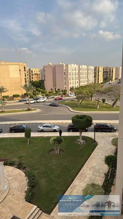 3 Bedroom Flat for Rent in New Cairo, Cairo - WhatsApp Image 2025-12-18 at 4.05. 16 PM. jpeg