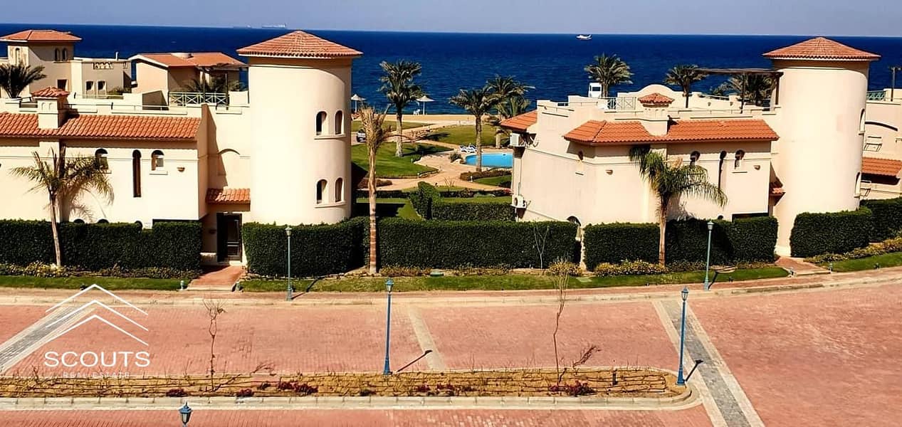 17 24216d52-ec83-4185-9931-04450dc02081. jpg