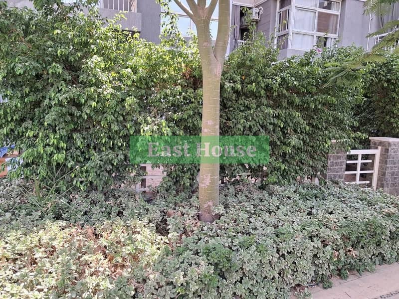 3 WhatsApp Image 2025-12-17 at 11.52. 56. jpeg