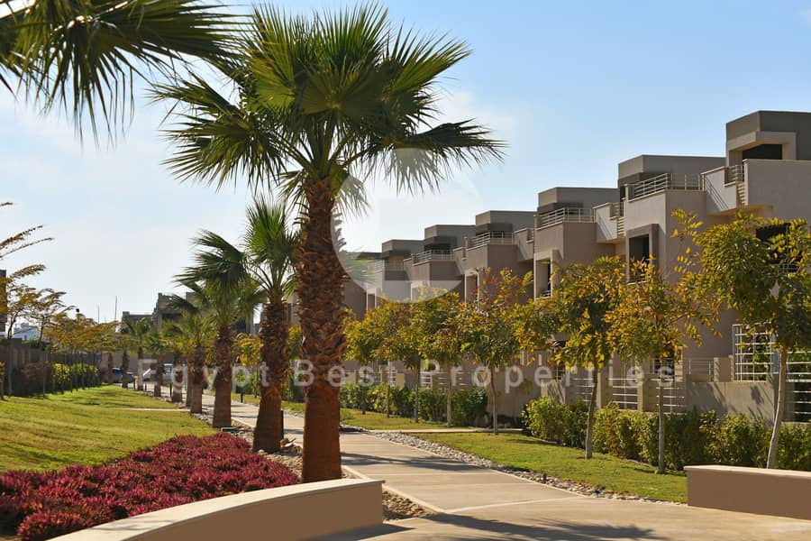 6 P-Katameya-DSC_8254. jpg