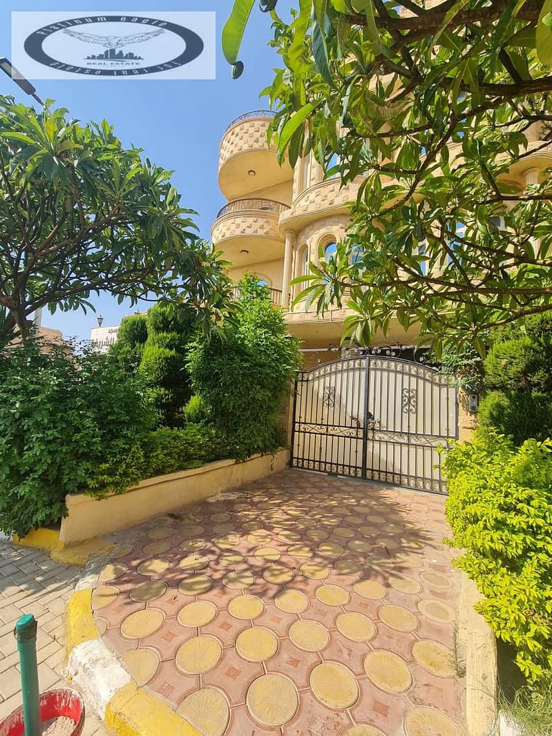 2 7420f4d5-bc1c-4392-a324-e7b16cdfd209. jpg