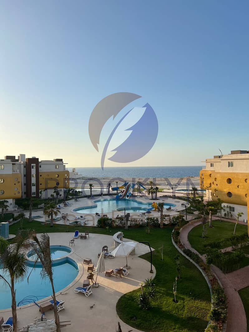 3 61396ca0-8a12-4186-9251-6e77bc88f482. jpeg