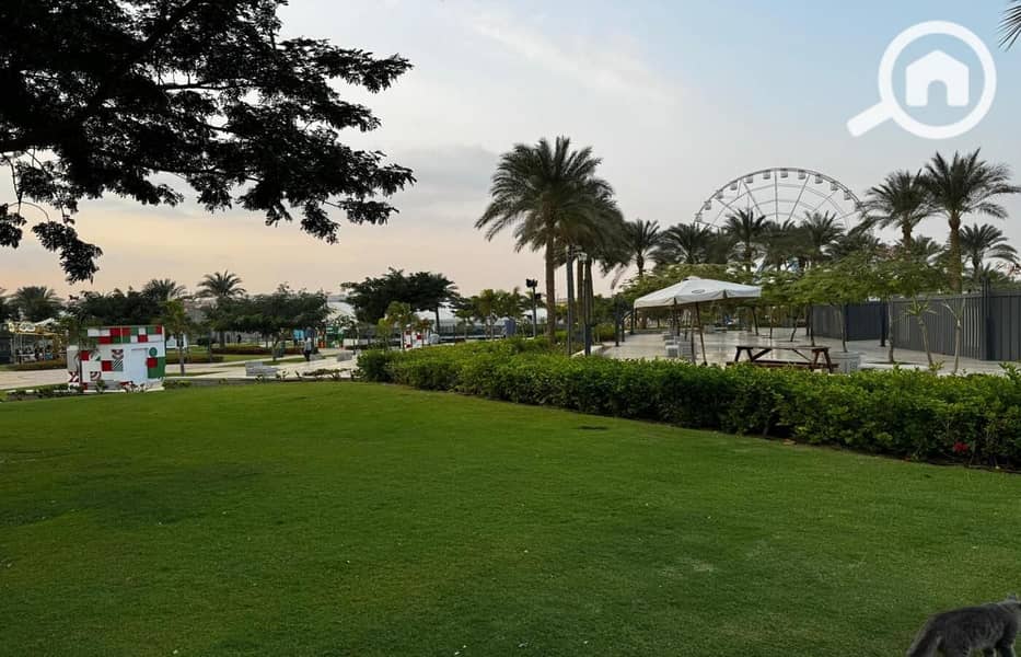 3 WhatsApp Image 2025-01-30 at 1.06. 06 PM. jpeg