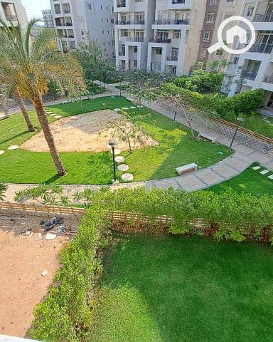 12 572832225_749602861455364_1588965663690518513_n. jpg