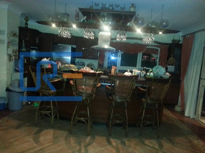 10 74c25637-c84b-43a3-a03d-13831275dccf. jpeg