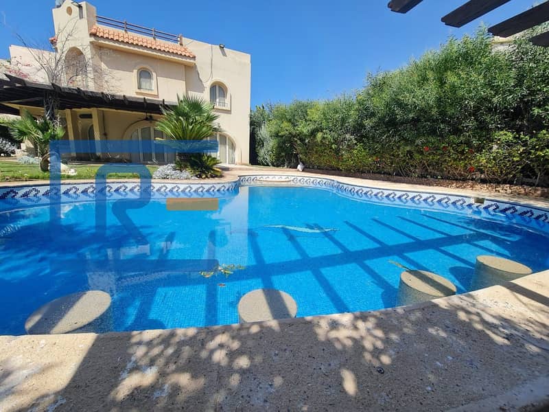 19 fbda07c7-6175-4042-8aad-497a0f6e9703. jpeg