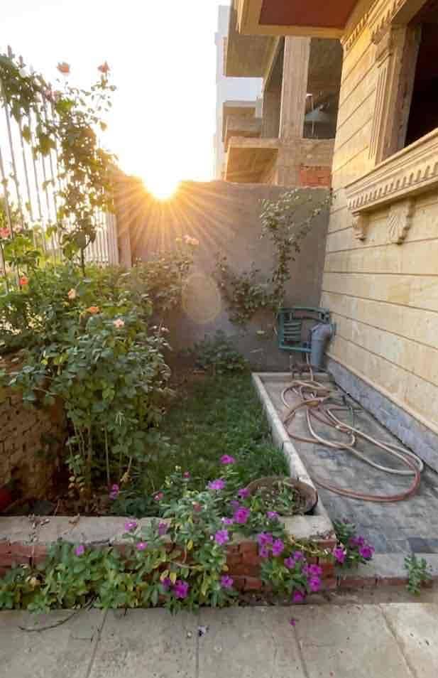 2 cc3abf80-f71a-4d56-a259-86804c413f94. jpg