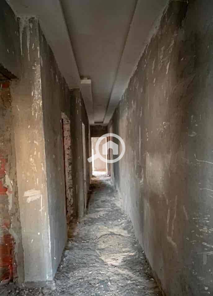 5 08d2d440-6e4b-4df9-a133-2e3151754840. jpg