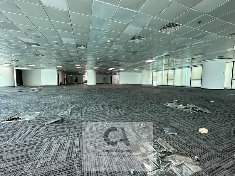 11 88d0c4af-5e1d-4aff-b623-69f6dac1e22a. jpg