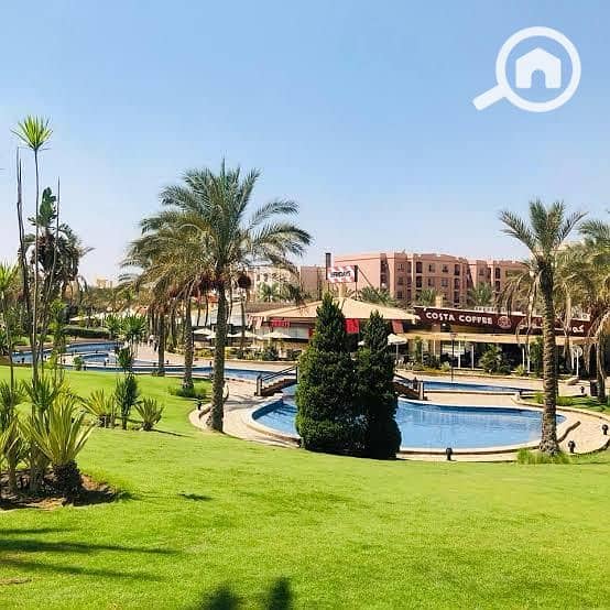 12 4d4f677b-7b53-43d9-8cd8-847be24aeed7. jpg