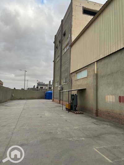 Factory for Rent in Borg al-Arab, Alexandria - IMG_1931. jpg