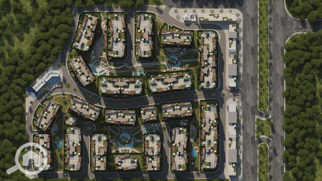 6 ZAYA HOM (9). jpeg