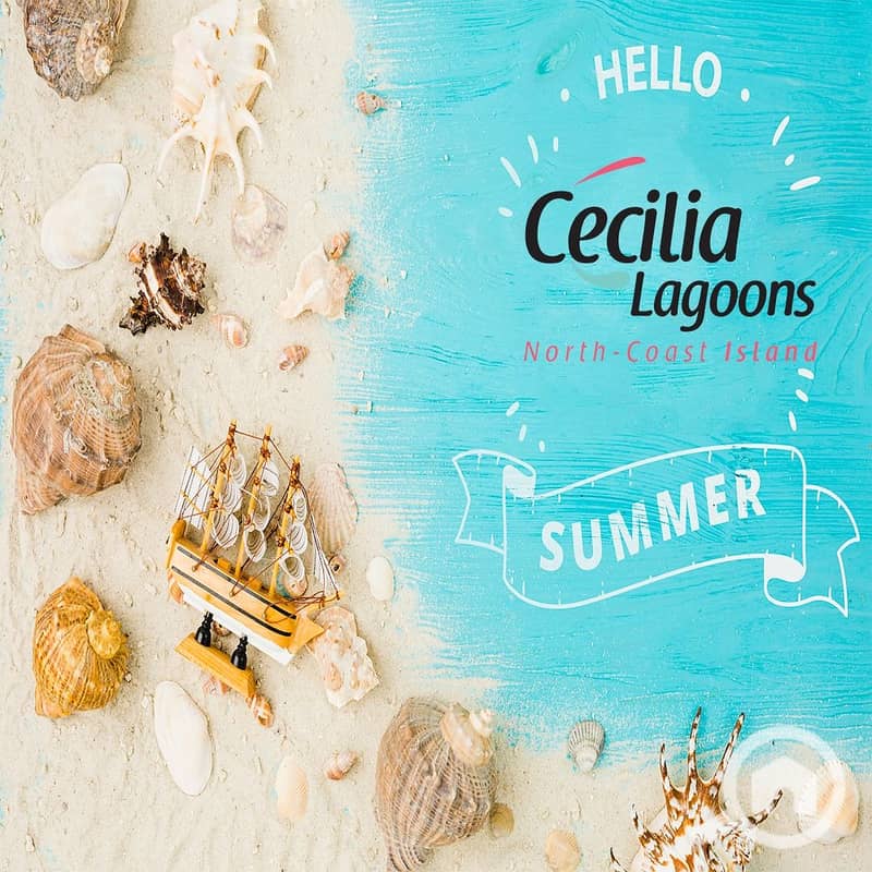 14 WhatsApp Image 2025-12-09 at 3.01. 04 PM. jpeg