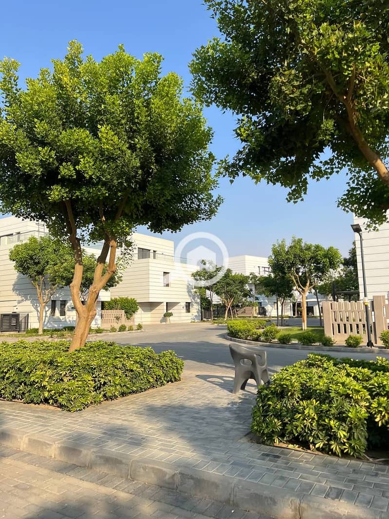 10 photo_2025-07-14_23-11-30. jpg