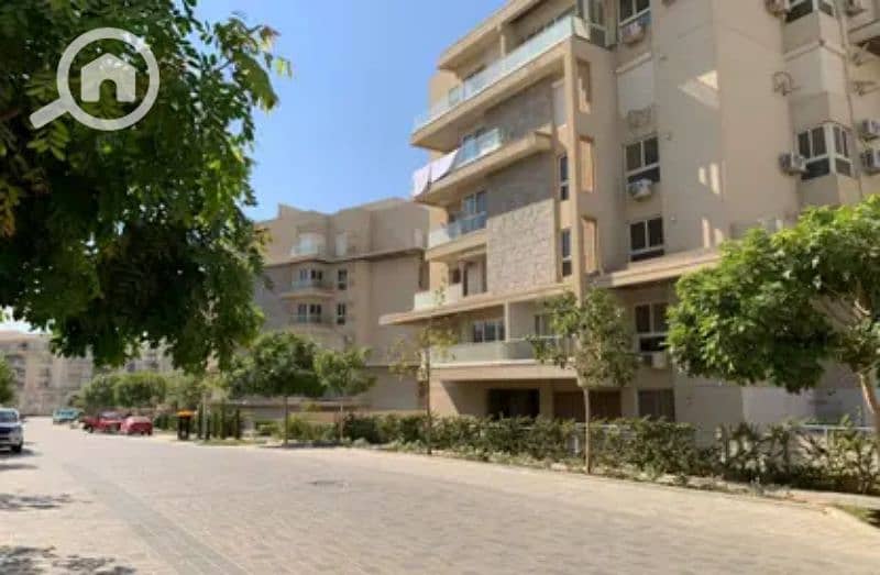 11 7845814-97ae3o. jpg