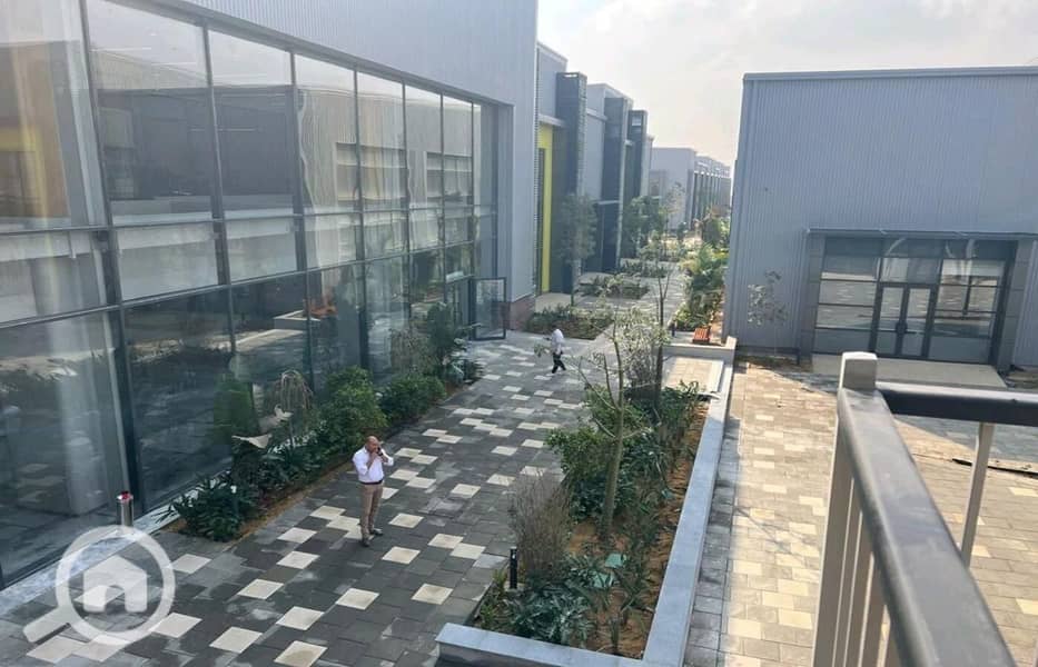 6 WhatsApp Image 2025-03-04 at 1.23. 42 PM (3). jpeg