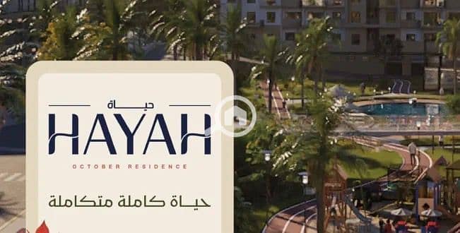 3 WhatsApp Image 2025-10-20 at 4.16. 09 PM (2). jpeg