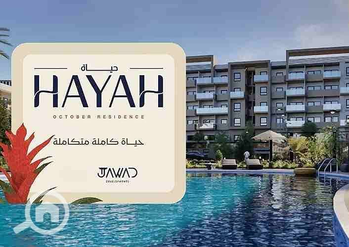 4 WhatsApp Image 2025-10-20 at 4.16. 09 PM (3). jpeg