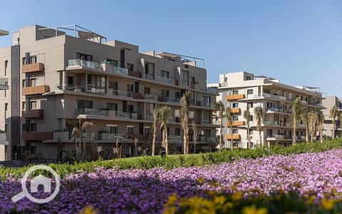 فلیٹ 1 غرفة نوم للايجار في القاهرة الجديدة، القاهرة - VRES_Q1-24_3. jpg