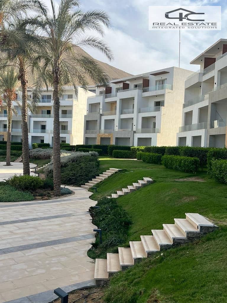 6 WhatsApp Image 2025-10-07 at 3.37. 47 PM. jpeg