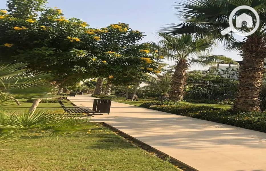 3 7055219-640cfo_1400x900. jpg