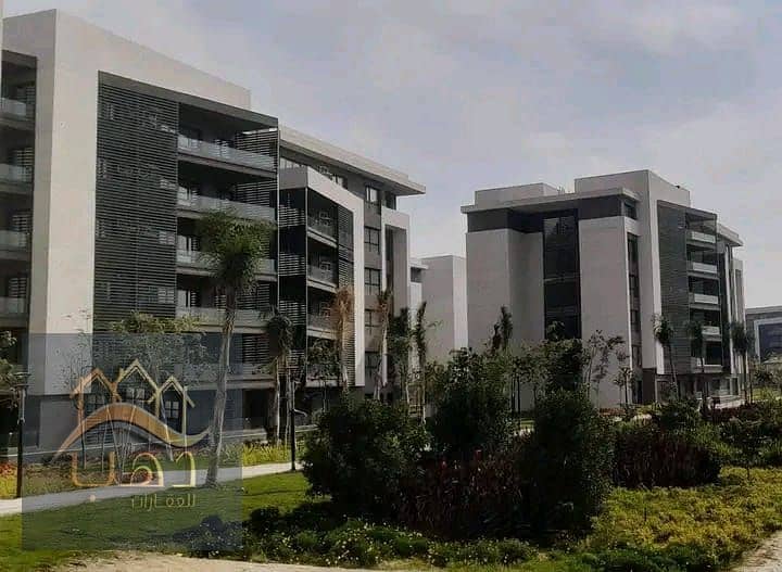 4 WhatsApp Image 2025-09-11 at 2.23. 52 PM. jpeg