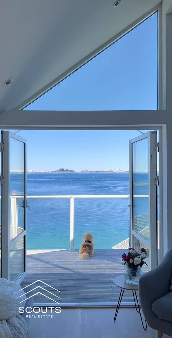 9 WhatsApp Image 2025-10-16 at 15.44. 02_420b1ff9. jpg