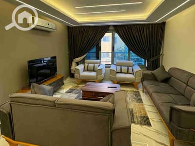 شقة فندقية 3 غرف نوم للايجار في المنيل، القاهرة - 1000082671. jpg