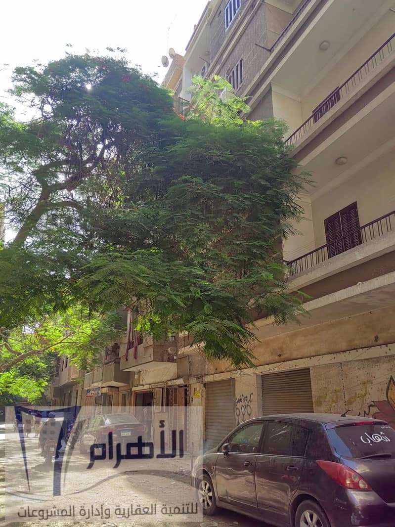 6 499372881_2449154002118478_1119490023435930312_n. jpg