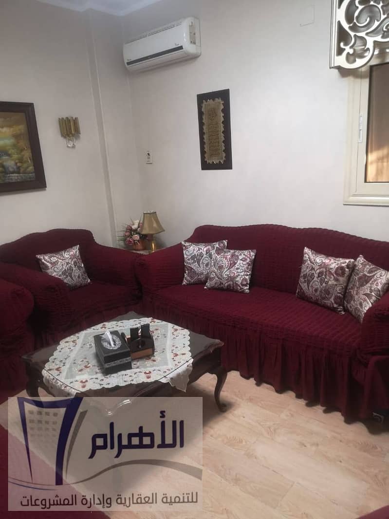 8 492829896_2449153848785160_5900576790566490454_n. jpg