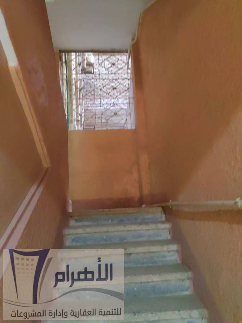 17 499921113_2449154082118470_5155250057740463763_n. jpg