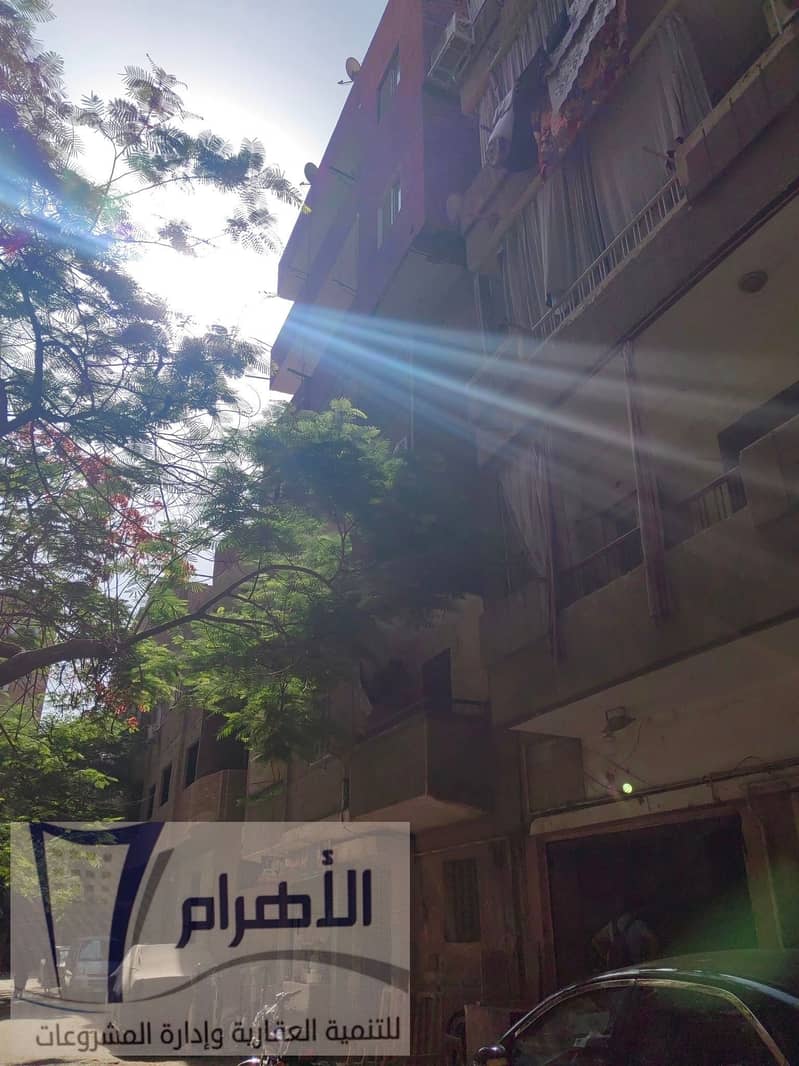 19 499861944_2449154112118467_4458278108011239882_n. jpg