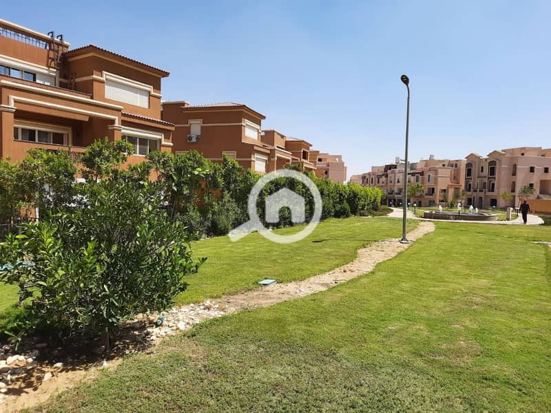 8 photo_2025-09-10_22-31-16. jpg